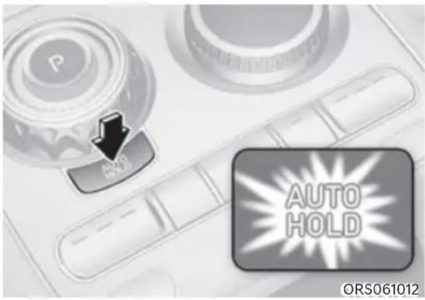 P ARUB AUTO HOLD ORS061012