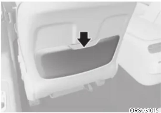 HYUNDAI Genesis G90 (2023) - Walk-in switch (if equipped) - 2