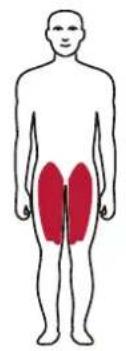TAURUS Iso Leg Extension Sterling - Exercise Instructions - 2