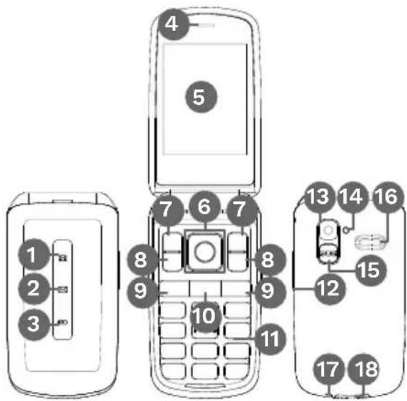 1 2 3 4 5 6 7 8 9 10 11 12 13 14 15 16 17 18