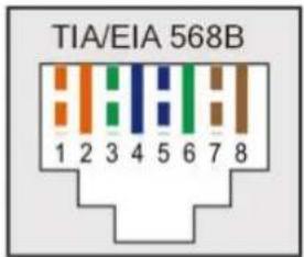 TIA/EIA 568B 1 2 3 4 5 6 7 8