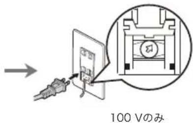 100 Vのみ
