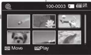 100-0003 Move Play