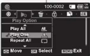 100-0002 Play Option Play All Play One Repeat All Move OK Select MENU Exit