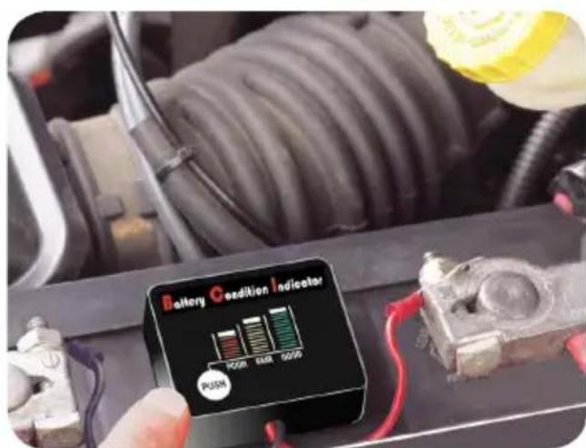 Battery Condition Indicator PUSK PWR PGGS