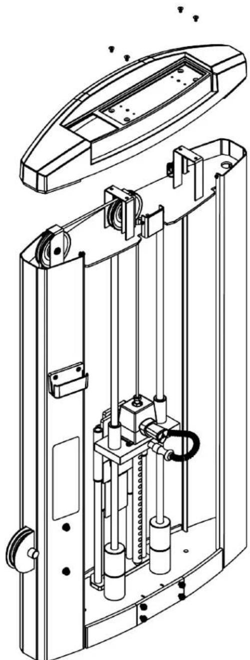 True Palladium - ASSEMBLY STEPS: - 1