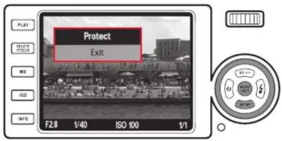 PLAY CREATE OFFICE WS ISO INFO Protect Exit F2.8 1/40 ISO 100 1/1