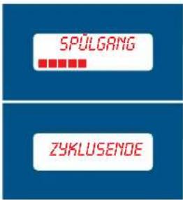 SPÜLGANG ZYKLUSENDE