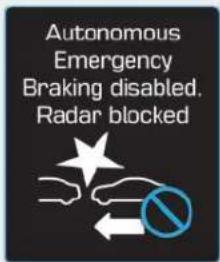 Autonomous Emergency Braking disabled. Radar blocked