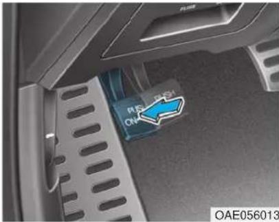PIS ON PIS ON OAE056013