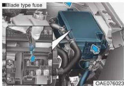 Blade type fuse OAE076023