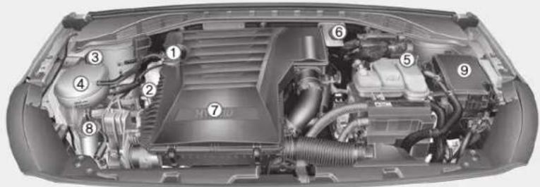 Technical diagram of a car's internal engine bay with numbered components for identification