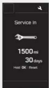 Service In 1500mi 30 days Hold OK : Reset