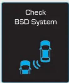 Check BSD System