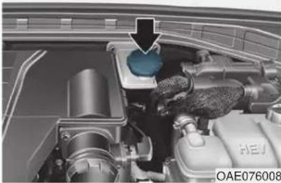 HYUNDAI Ioniq HEV (2018) - Checking the Brake Fluid Level - 1