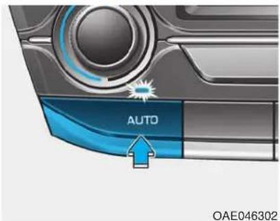 AUTO OAE046302