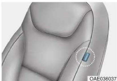 HYUNDAI Ioniq HEV (2018) - WARNING - 1