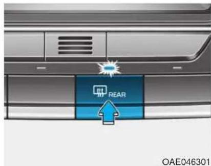REAR OAE046301