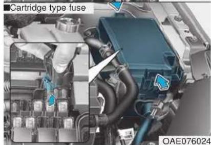 Cartridge type fuse OAE076024