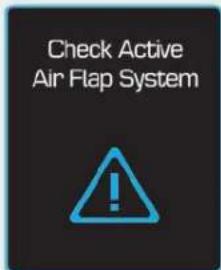 Check Active Air Flap System