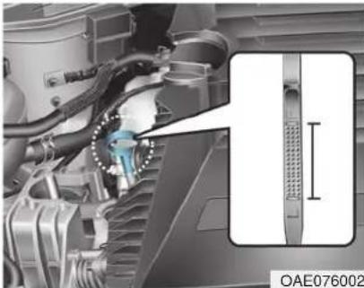 HYUNDAI Ioniq HEV (2018) - Checking the Engine Oil Level - 1