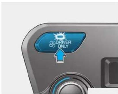 GoDRIVER Only