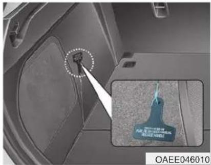 OAEE046010