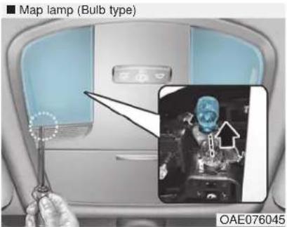 Map lamp (Bulb type) OAE076045
