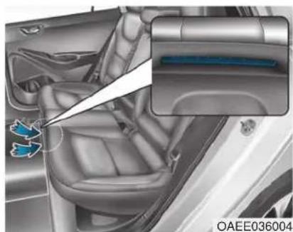 HYUNDAI Ioniq EV (2018) - Other Precautions for Electric Vehicle - 1