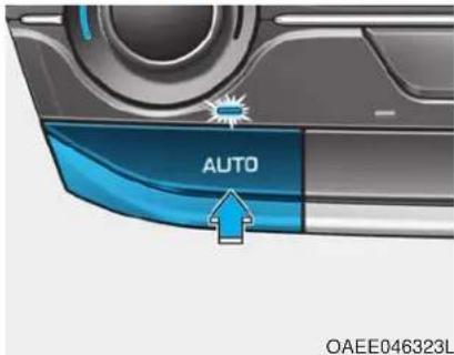 AUTO OAEE046323L