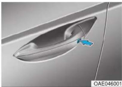 HYUNDAI Ioniq EV (2018) - Operating Door Locks from Outside the Vehicle - 3