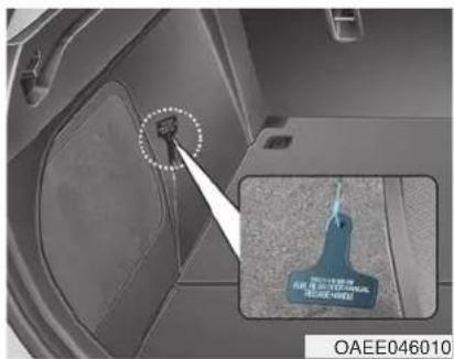 OAEE046010