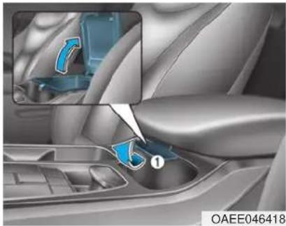 HYUNDAI Ioniq EV (2018) - NOTICE - 1