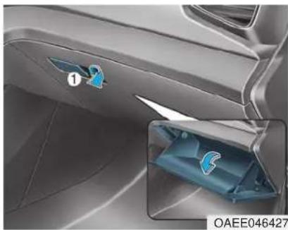 HYUNDAI Ioniq EV (2018) - NOTICE - 2