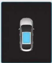 HYUNDAI Ioniq EV (2018) - CAUTION - 1