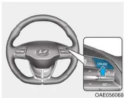 HYUNDAI Ioniq EV (2018) - i Information - 2