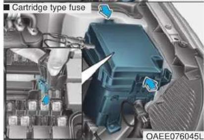 Cartridge type fuse OAEE076045L