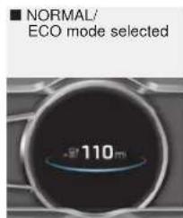 ■ NORMAL/ ECO mode selected 110 m