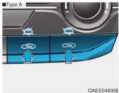 Type A OAE046306