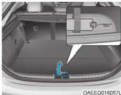 HYUNDAI Ioniq EV (2018) - i Information - 2