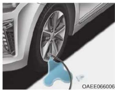 HYUNDAI Ioniq EV (2018) - CAUTION - 1
