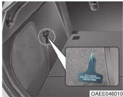OAEE046010