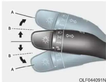 A B B A OLF044091N