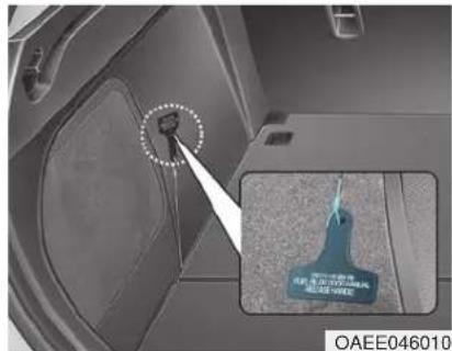 OAEE046010