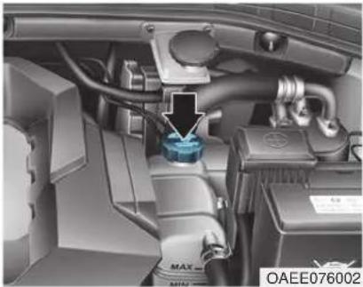 HYUNDAI Ioniq EV (2018) - i Information - 1