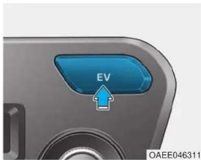 EV OAEE046311