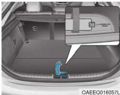 HYUNDAI Ioniq EV (2018) - CHARGING ELECTRIC VEHICLE (TRICKLE CHARGE) (CONT.) - 1