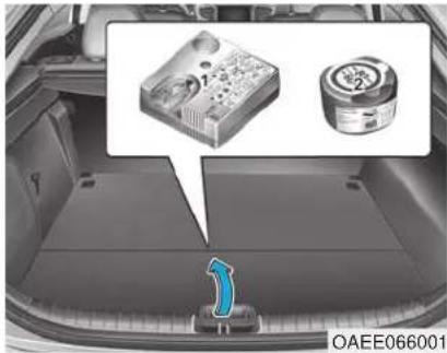 HYUNDAI Ioniq EV (2018) - IF YOU HAVE A FLAT TIRE With Tire Mobility Kit (TMK) - 1