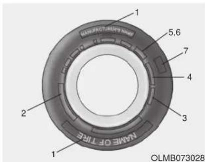 1 2 3 4 5,6 7 NAME OF TIFE OLMB073028