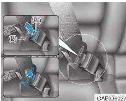 (B) (B) OAE036027